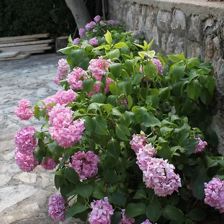 Apartment By The Sea Starigrad, Paklenica - 6624